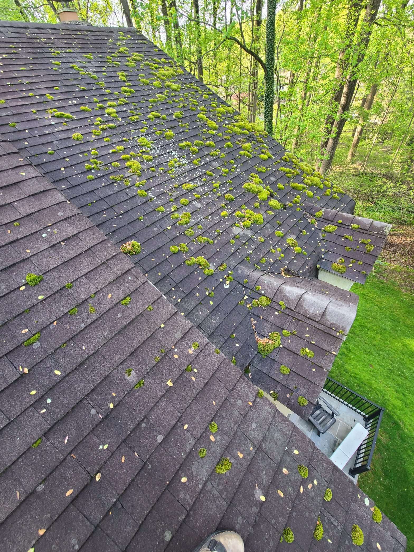 Top Reasons to Remove Moss from Your Roof