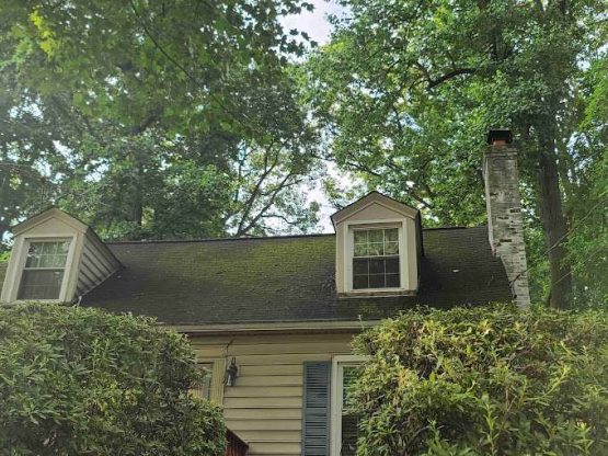 Mossy Roof moss removal service
