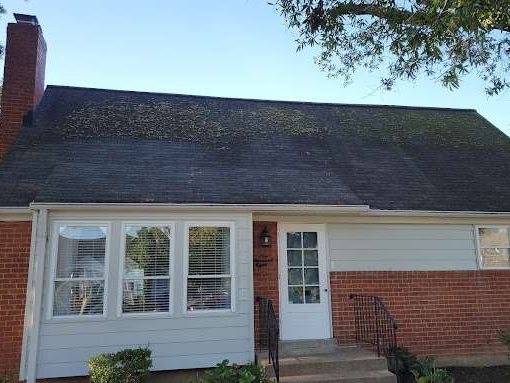 Dirty Roof roof