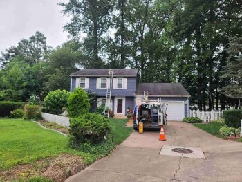 professional roof cleaning