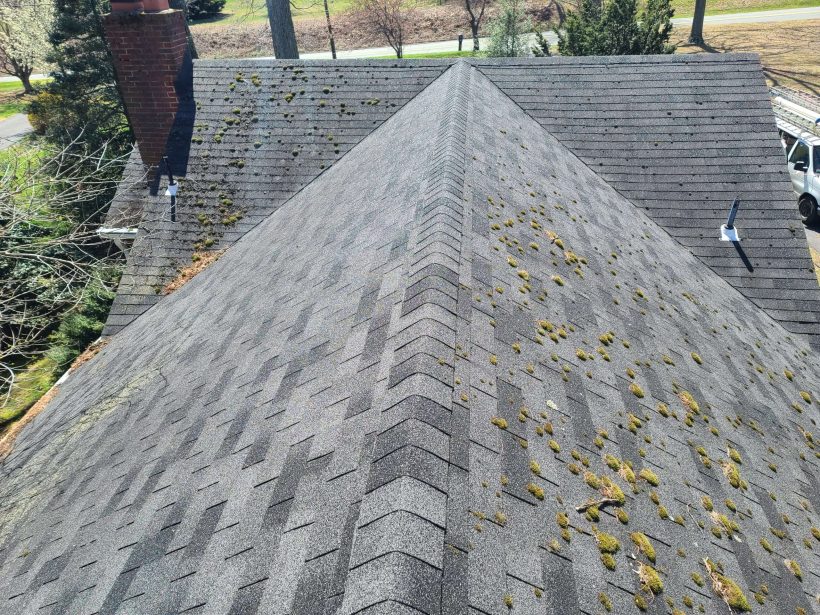 Roof Moss Removal in Falls Church, VA Roof Moss Removal Near Me