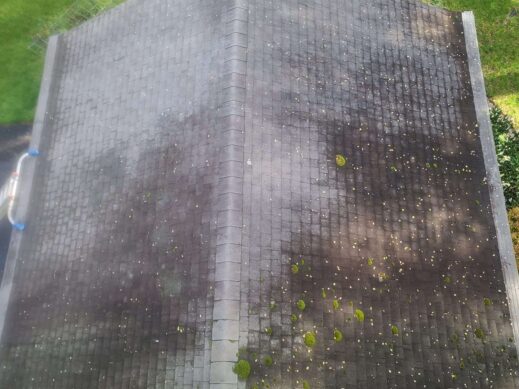 moss removal on roof