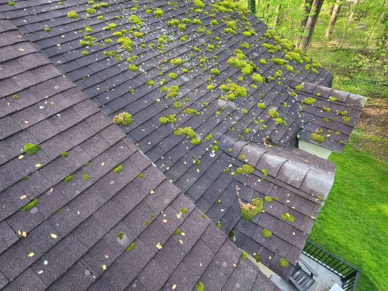 Roof moss removal Falls Church VA moss removal service