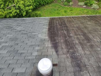 residential roof cleaning