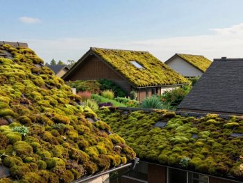 The Relationship Between Roof Pitch and Moss Accumulation.
