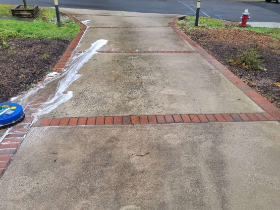 driveway cleaning