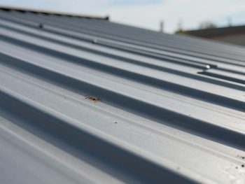 metal roofs soft washing