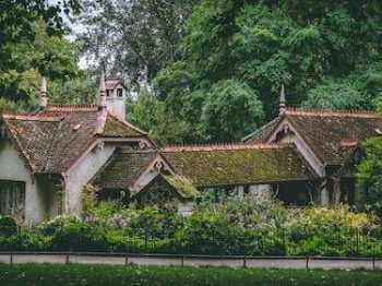 mossy roofs