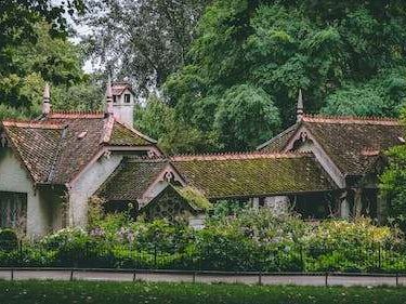 mossy roofs
